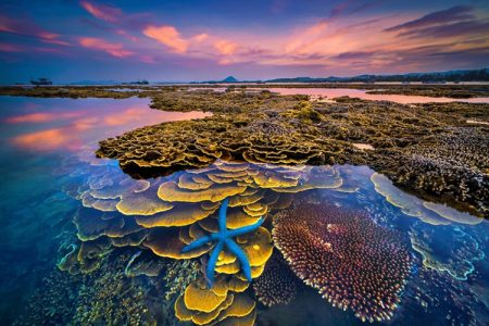 Vietnam Visa Services