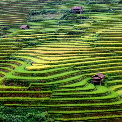 Sapa