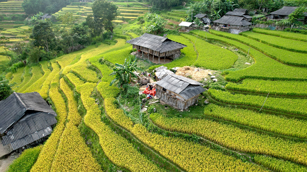 Hoang-Su-Pi-_hagiang