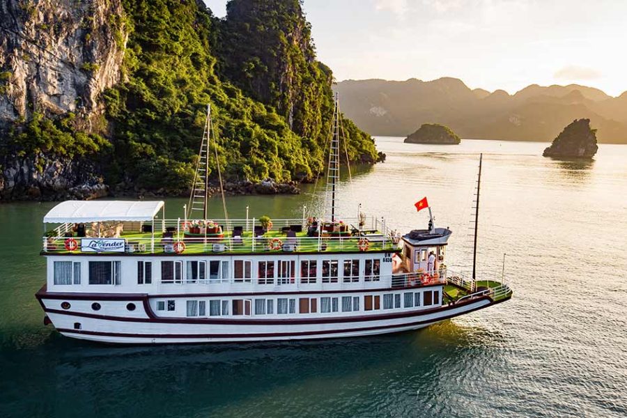 Lavender-Elegance-Cruises