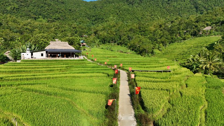 Vietnam Adventure Ricefield village
